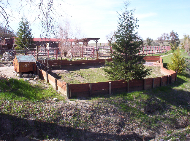 Photo Album Image