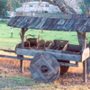 The Honor Cart
