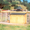 The Chicken Coop
