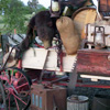 The Wagon
